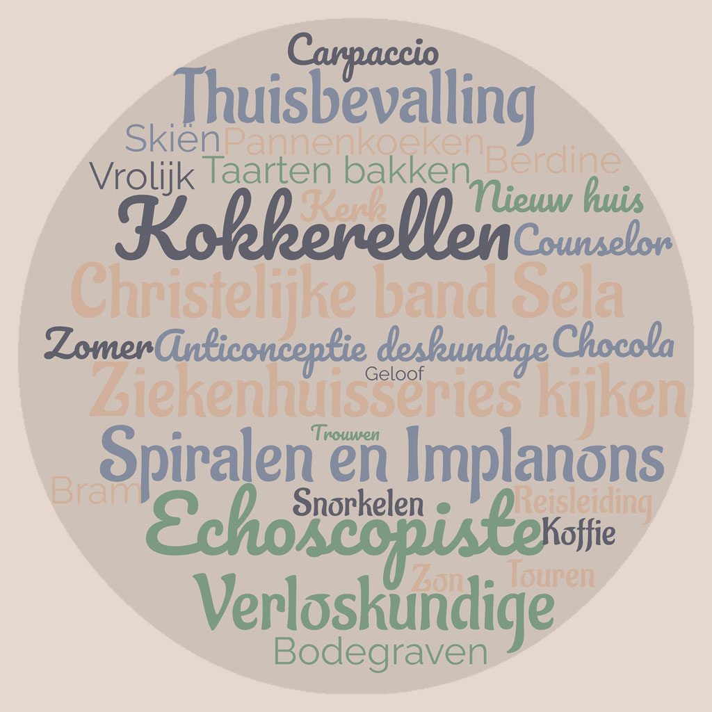 wordcloud berdine